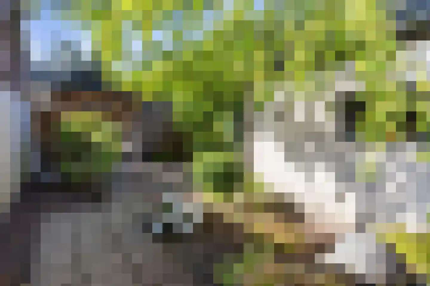 Planetenlaan 67 Apeldoorn thumbnail 13