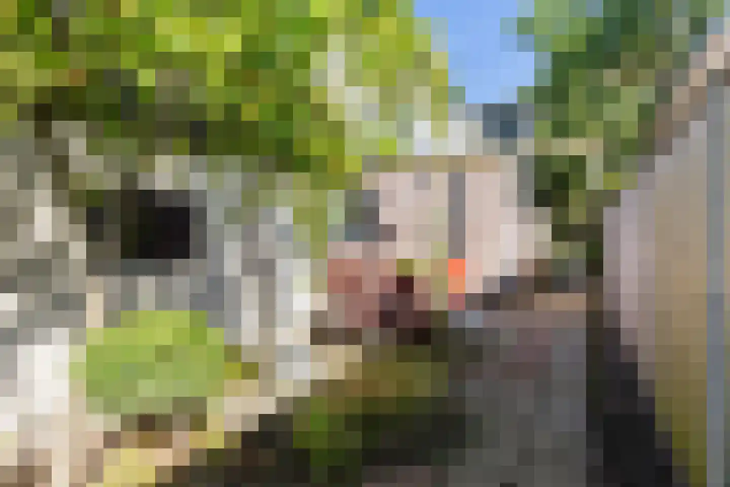 Planetenlaan 67 Apeldoorn thumbnail 16