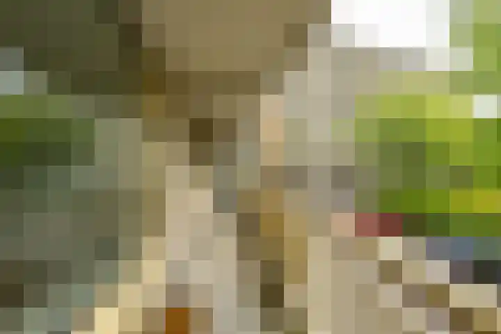 Planetenlaan 69 Groningen thumbnail 10