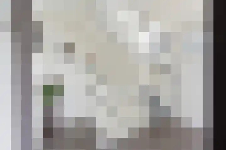 Planetenlaan 69 Nieuw-Lekkerland thumbnail 27