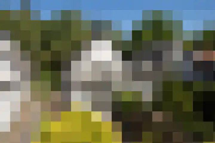 Planetenlaan 73 Apeldoorn thumbnail 16