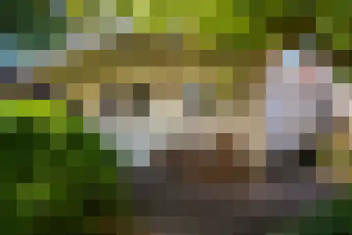 Planetenlaan 73 Apeldoorn thumbnail 21