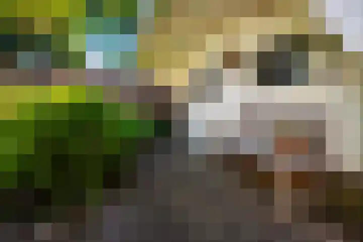 Planetenlaan 73 Apeldoorn thumbnail 22