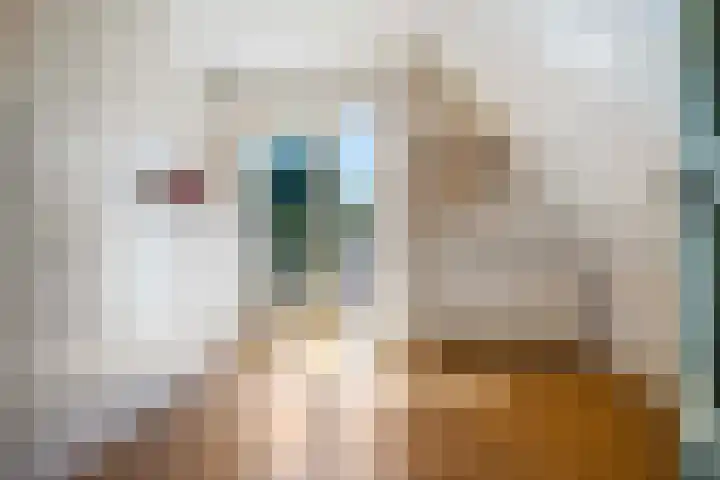 Planetenlaan 73 Apeldoorn thumbnail 25