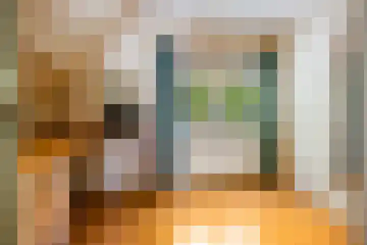 Planetenlaan 73 Apeldoorn thumbnail 31
