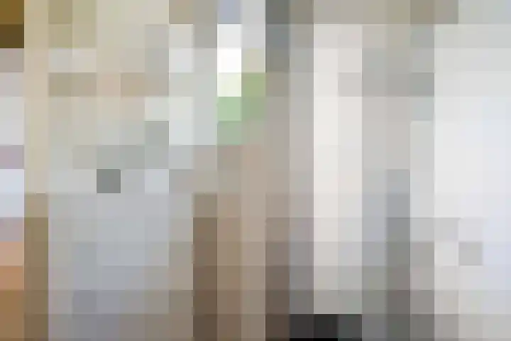 Planetenlaan 73 Apeldoorn thumbnail 34