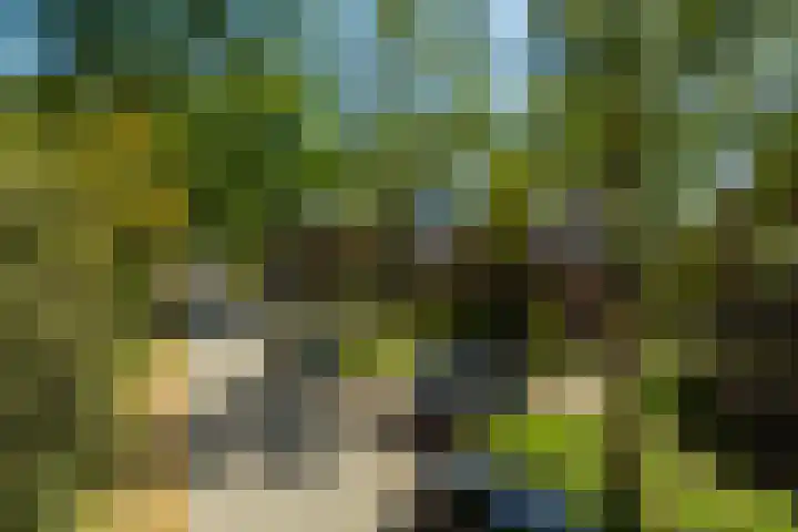 Planetenlaan 73 Apeldoorn thumbnail 40
