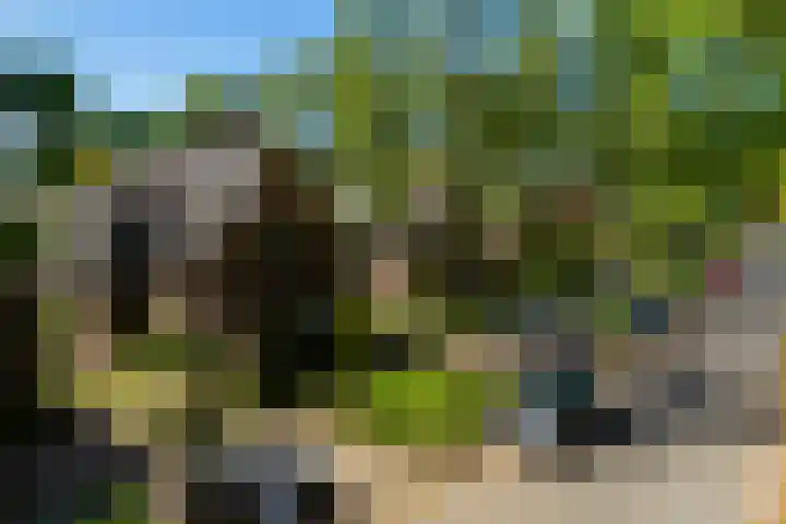 Planetenlaan 73 Apeldoorn thumbnail 41