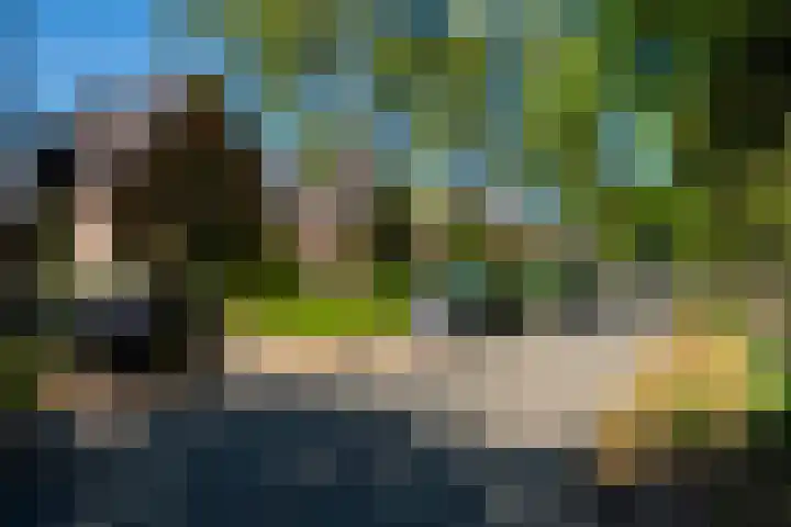 Planetenlaan 73 Apeldoorn thumbnail 43