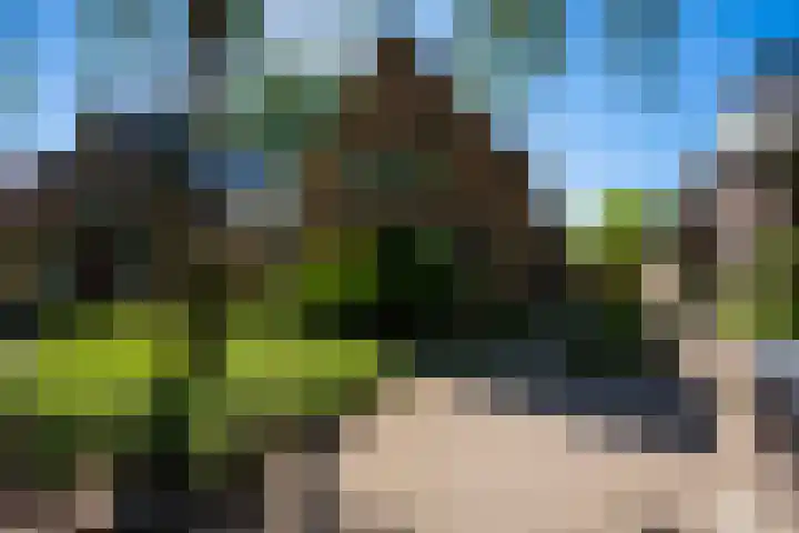 Planetenlaan 73 Apeldoorn thumbnail 44
