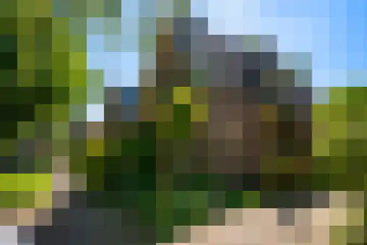 Planetenlaan 73 Apeldoorn thumbnail 46