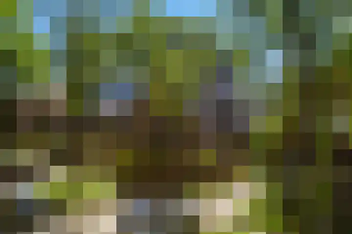 Planetenlaan 73 Apeldoorn thumbnail 57
