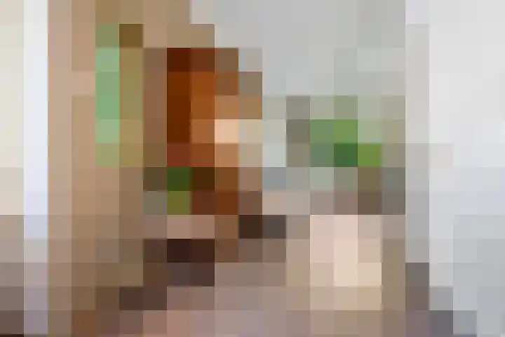 Planetenlaan 73 Apeldoorn thumbnail 7