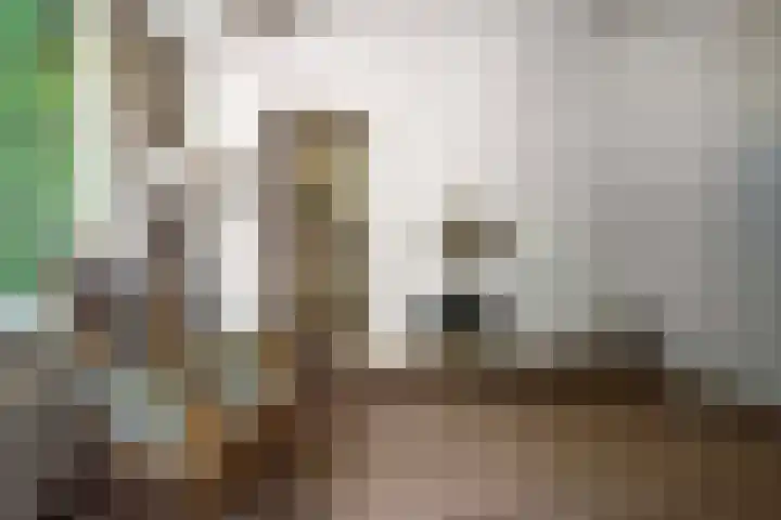 Planetenlaan 73 Apeldoorn thumbnail 9