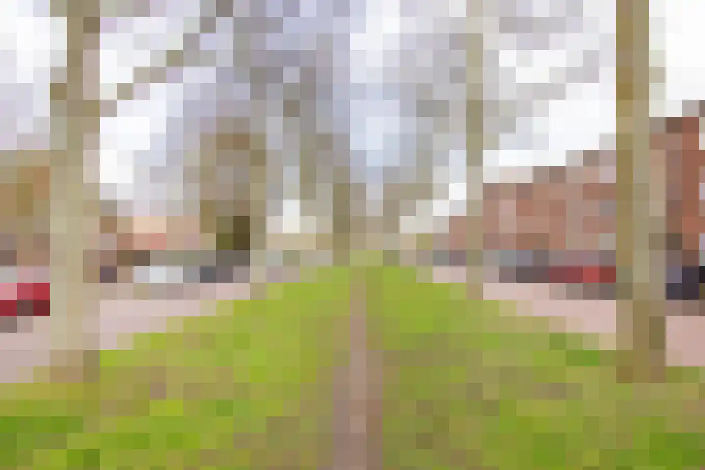 Planetenlaan 76 II Haarlem thumbnail 35