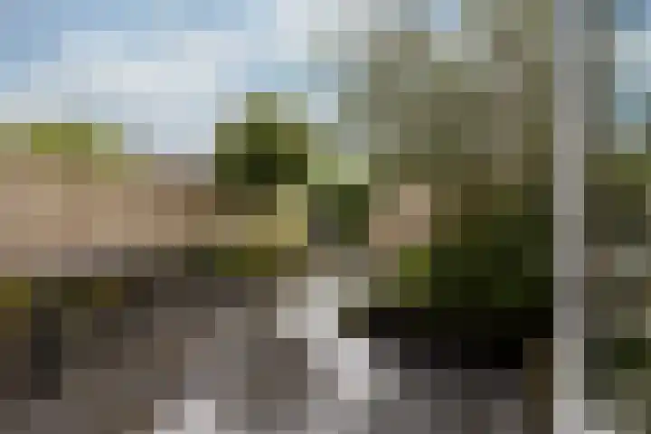 Planetenlaan 77 Huis ter Heide thumbnail 13