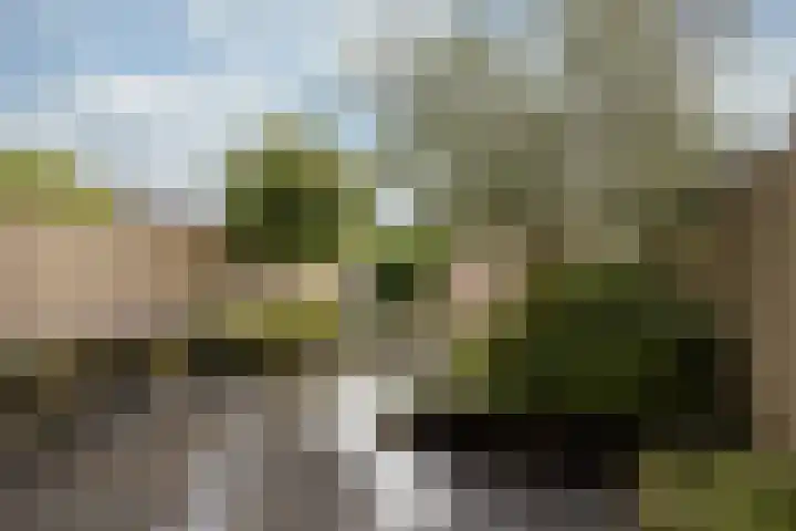 Planetenlaan 77 Huis ter Heide thumbnail 14