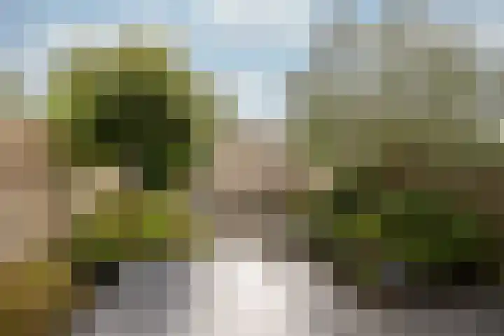 Planetenlaan 77 Huis ter Heide thumbnail 15