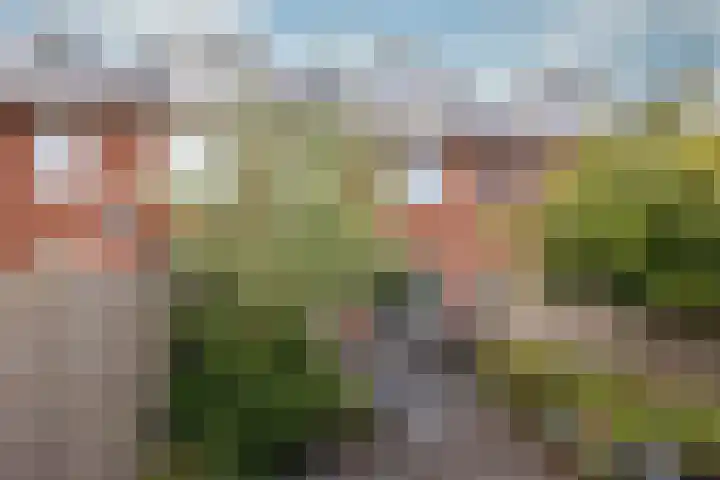 Planetenlaan 77 Huis ter Heide thumbnail 16