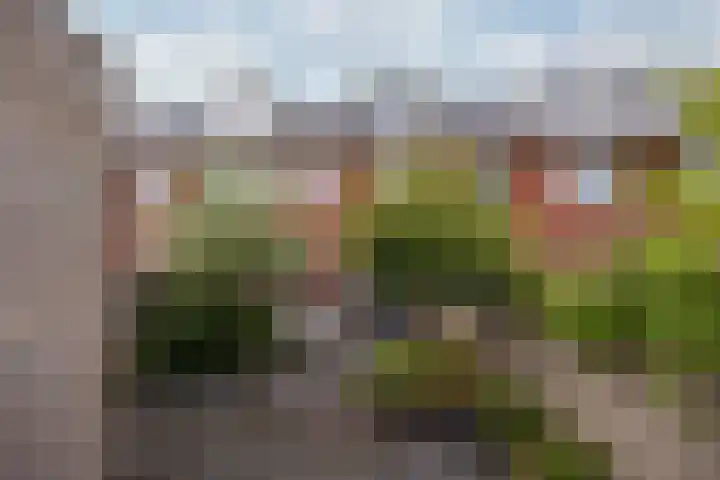 Planetenlaan 77 Huis ter Heide thumbnail 17