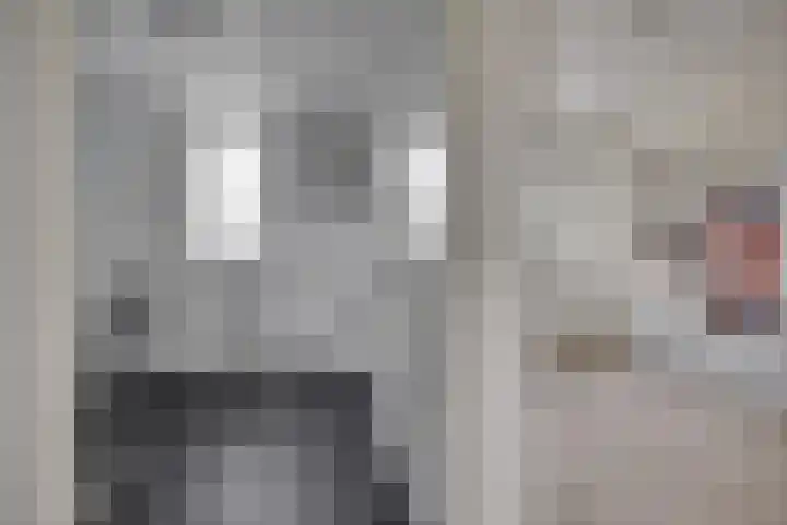 Planetenlaan 77 Huis ter Heide thumbnail 24