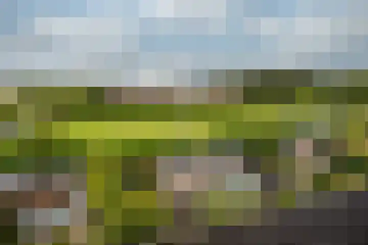 Planetenlaan 77 Huis ter Heide thumbnail 32