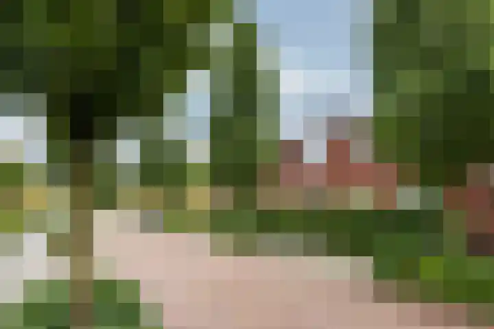 Planetenlaan 77 Huis ter Heide thumbnail 35