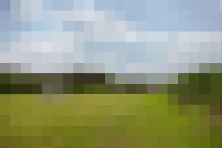 Planetenlaan 77 Huis ter Heide thumbnail 36