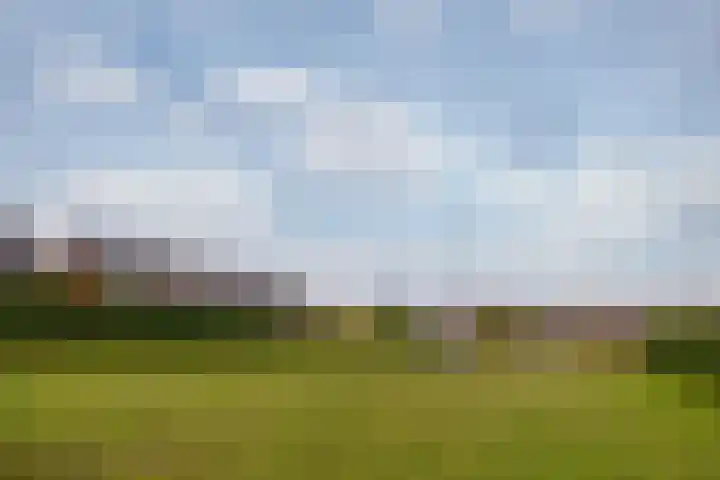 Planetenlaan 77 Huis ter Heide thumbnail 37