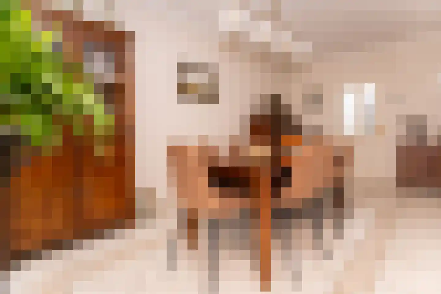 Planetenlaan 78 Opmeer thumbnail 24