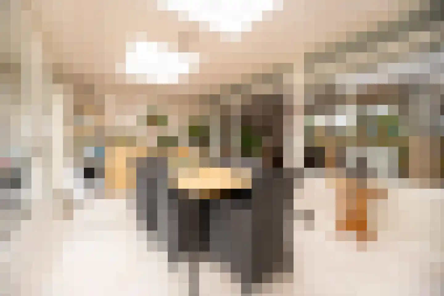 Planetenlaan 78 Opmeer thumbnail 32