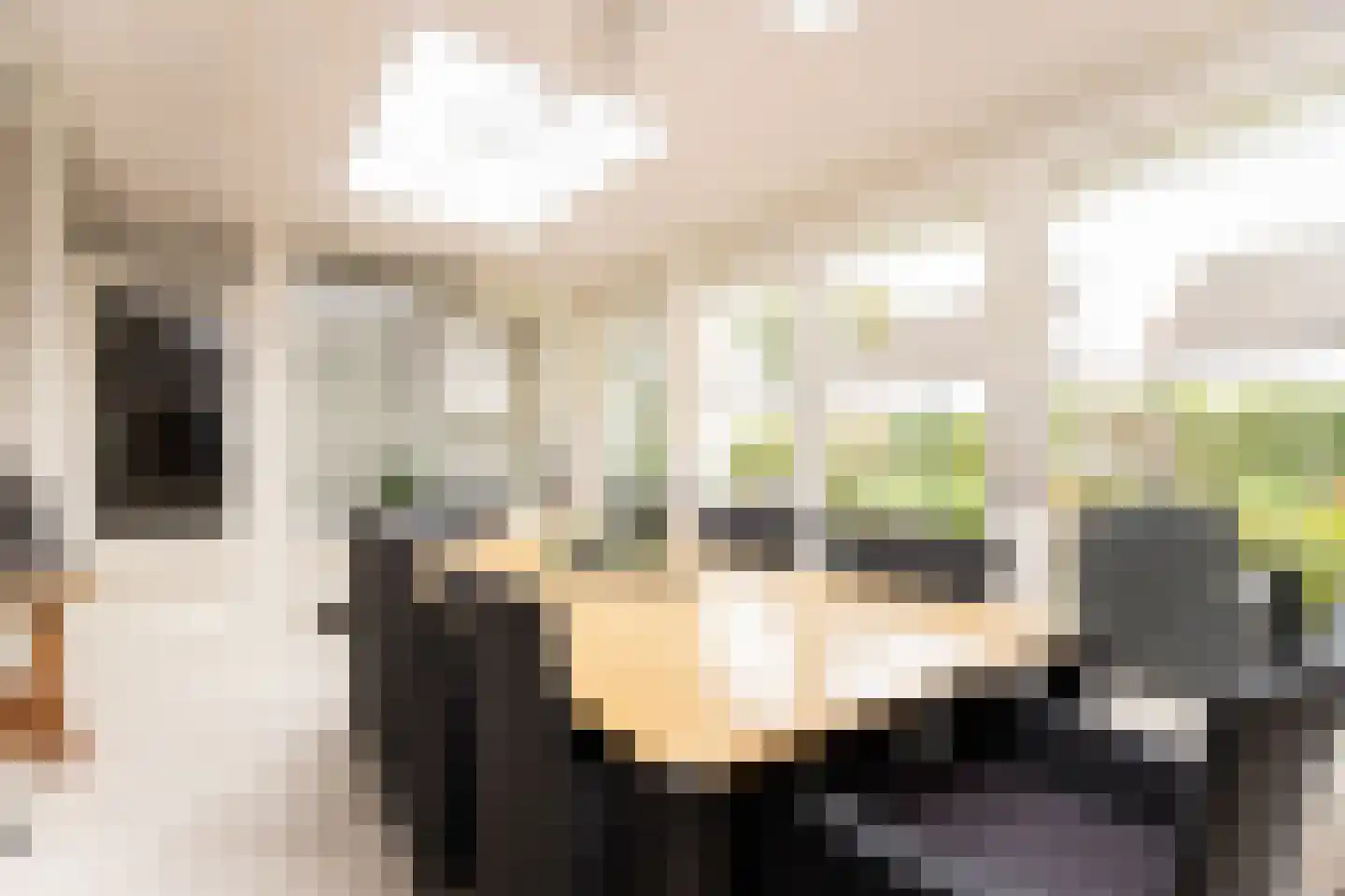 Planetenlaan 78 Opmeer thumbnail 35