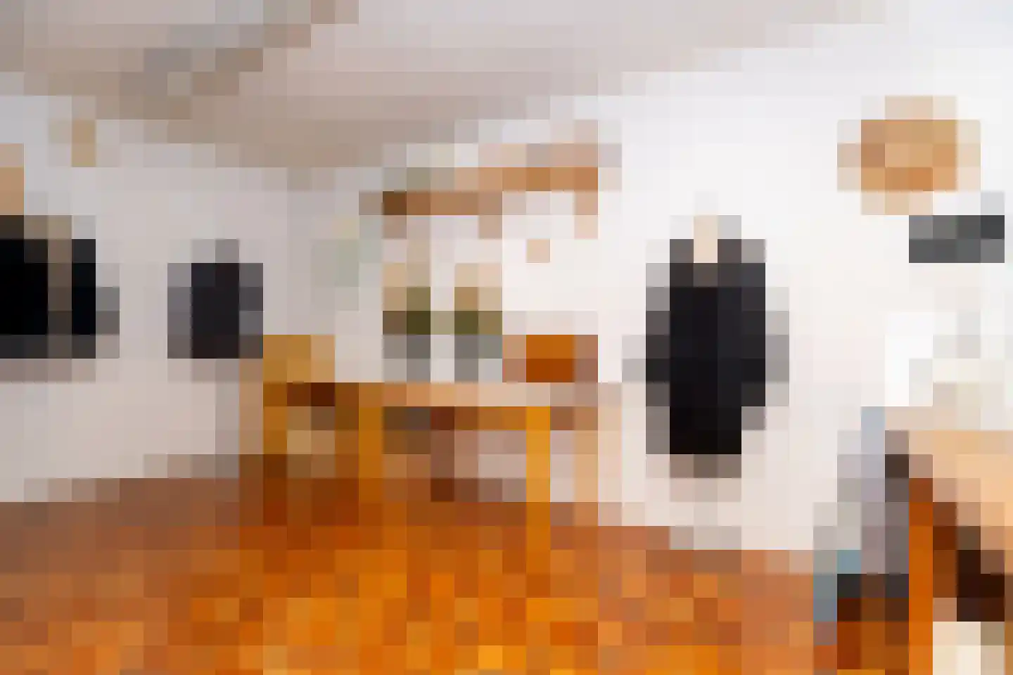 Planetenlaan 78 Opmeer thumbnail 39