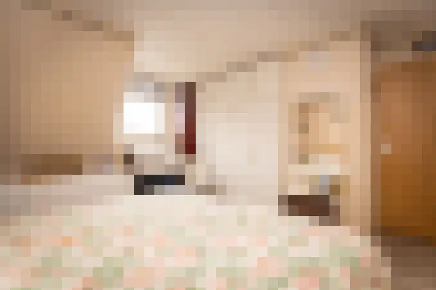 Planetenlaan 78 Opmeer thumbnail 47