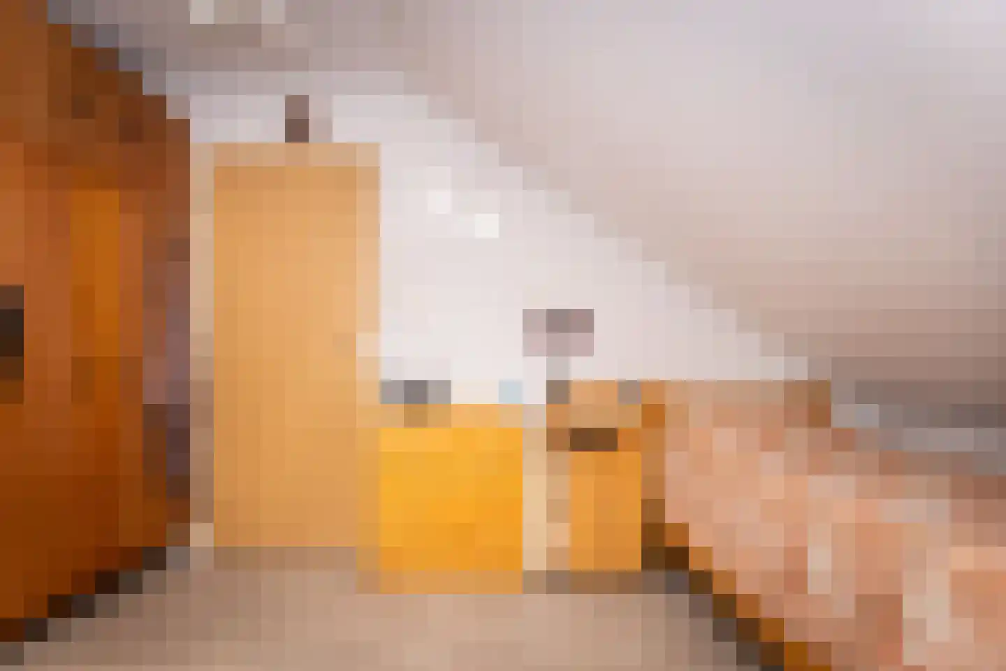 Planetenlaan 78 Opmeer thumbnail 48