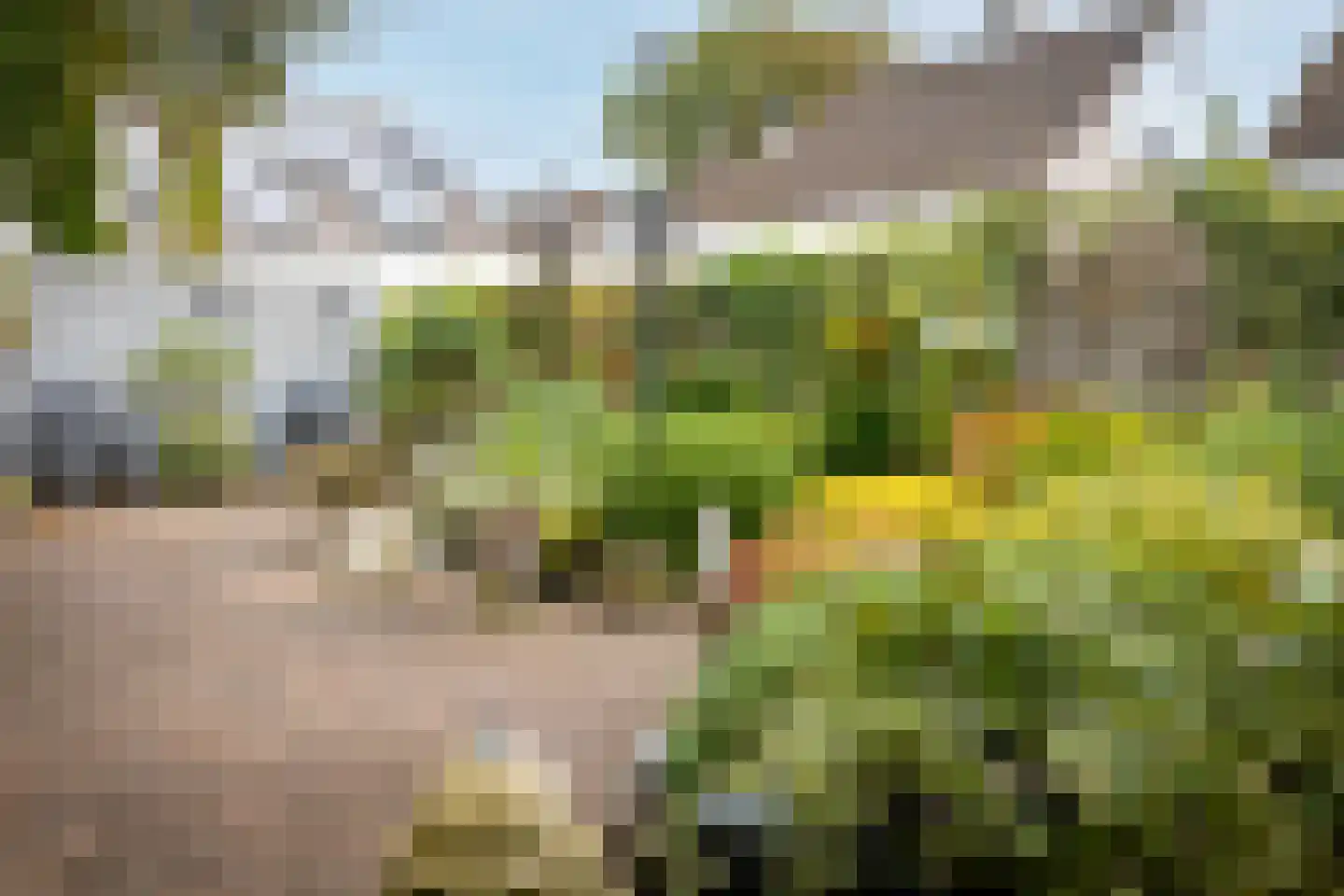 Planetenlaan 78 Opmeer thumbnail 59