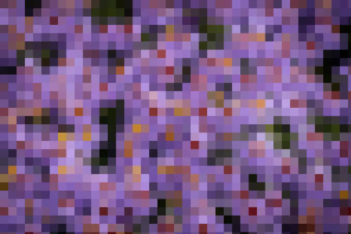 Planetenlaan 78 Opmeer thumbnail 61