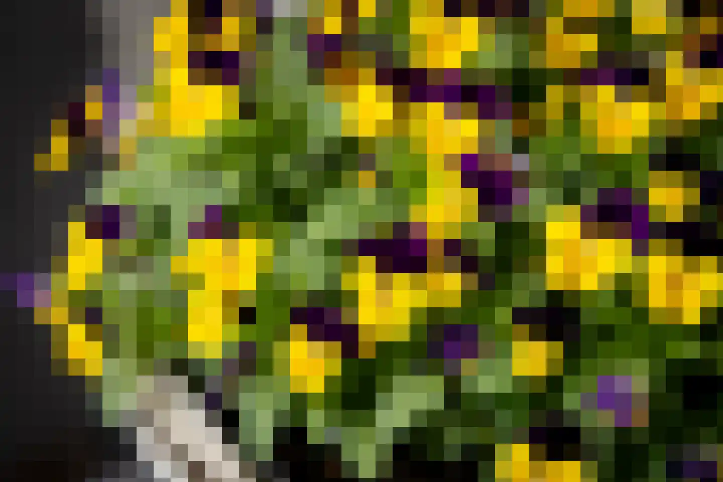 Planetenlaan 78 Opmeer thumbnail 62