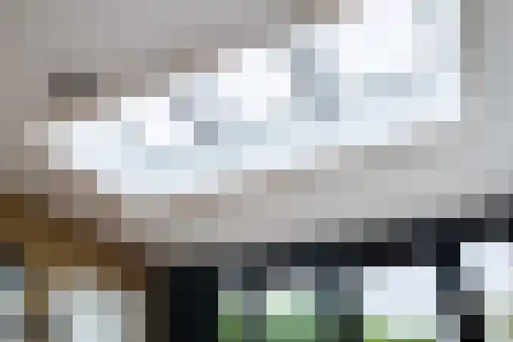 Planetenlaan 8 Apeldoorn thumbnail 11