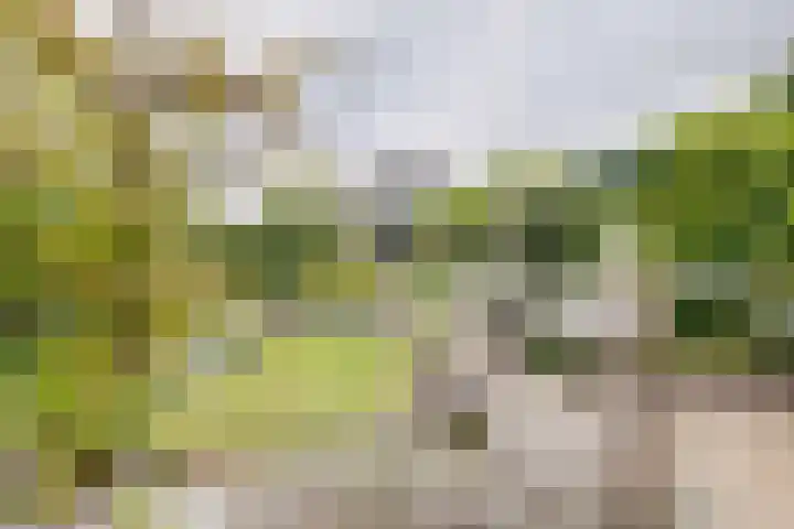 Planetenlaan 8 Apeldoorn thumbnail 28