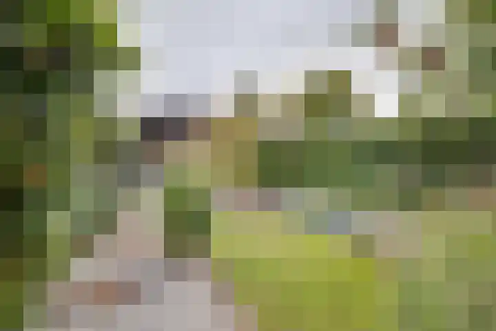 Planetenlaan 8 Apeldoorn thumbnail 32