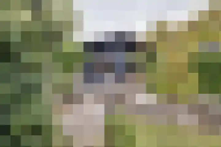 Planetenlaan 8 Apeldoorn thumbnail 33