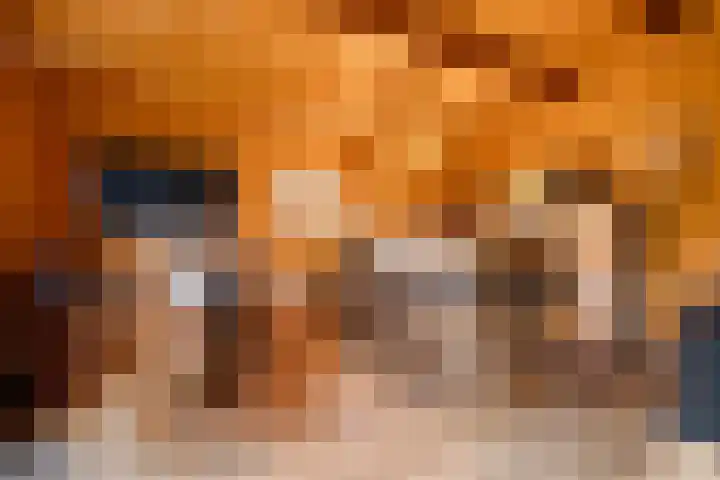 Planetenlaan 8 Apeldoorn thumbnail 34