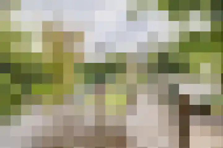 Planetenlaan 8 Apeldoorn thumbnail 39