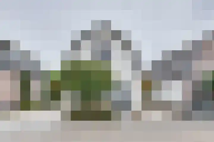 Planetenlaan 8 Apeldoorn thumbnail 41