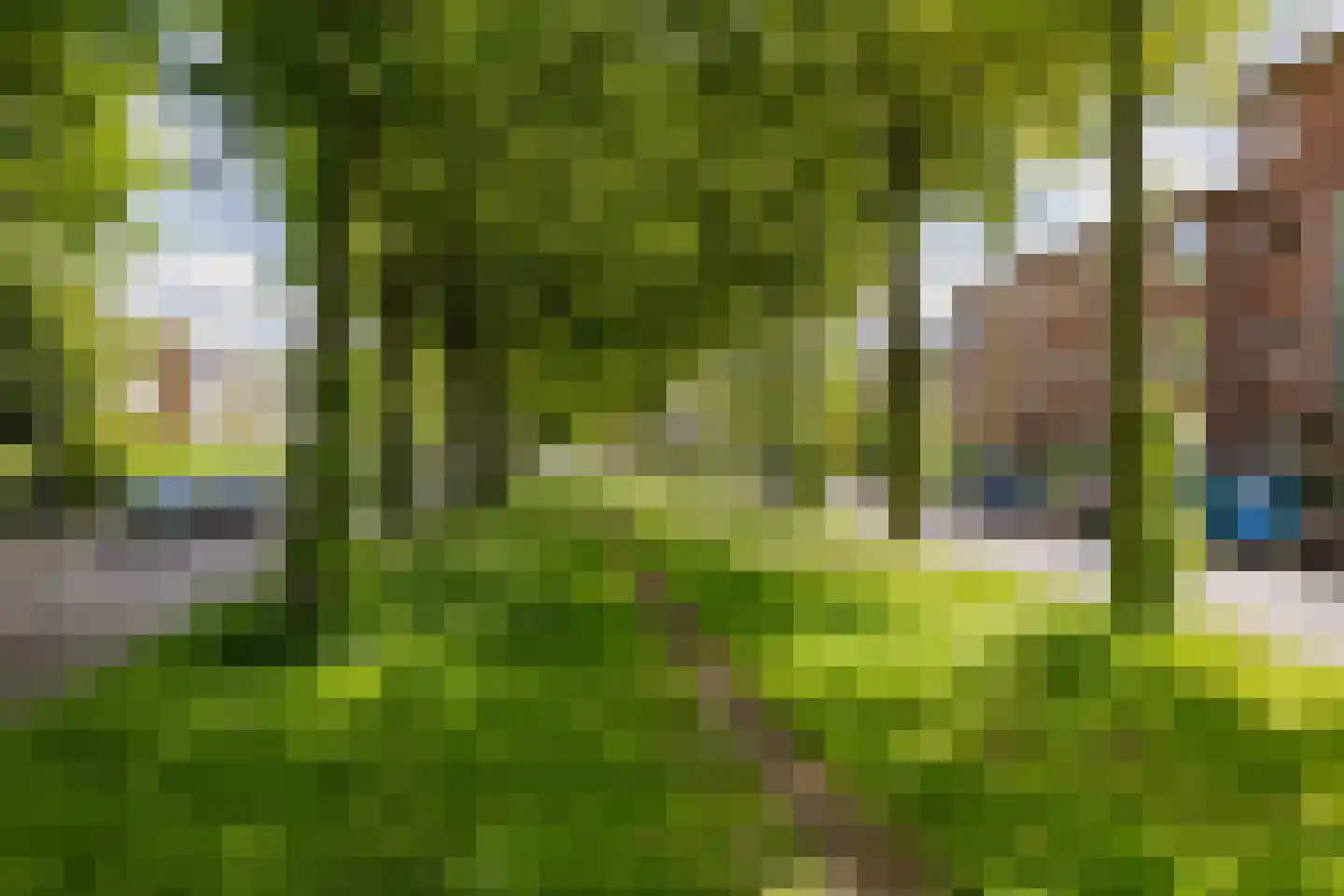 Planetenlaan 88 II Haarlem thumbnail 44
