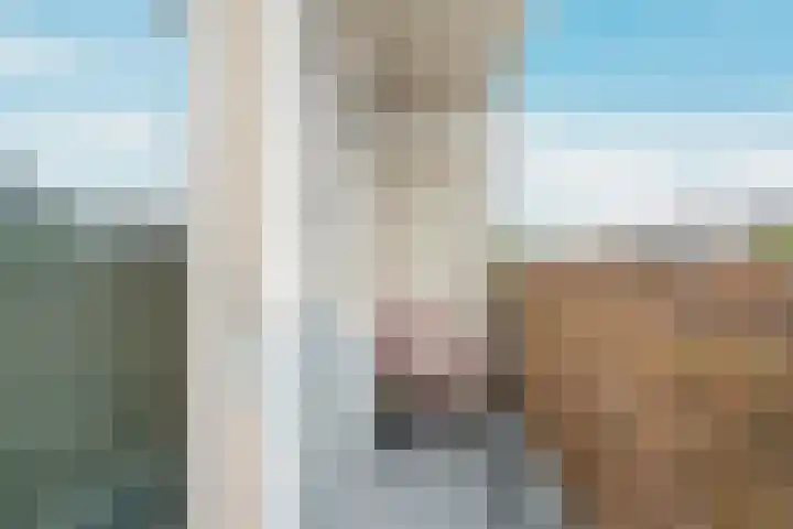Planetenlaan 90 I Haarlem thumbnail 22