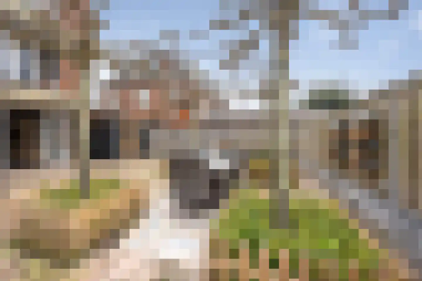 Planetenlaan 94 Haarlem thumbnail 18