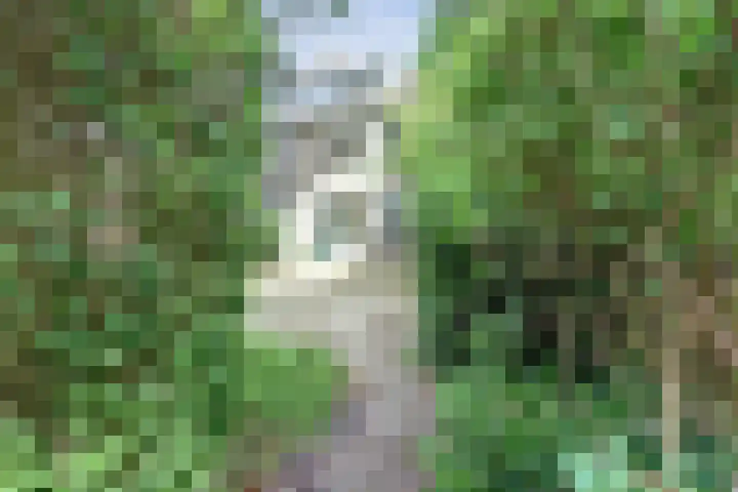 Planetenplein 1 Spijkenisse thumbnail 33
