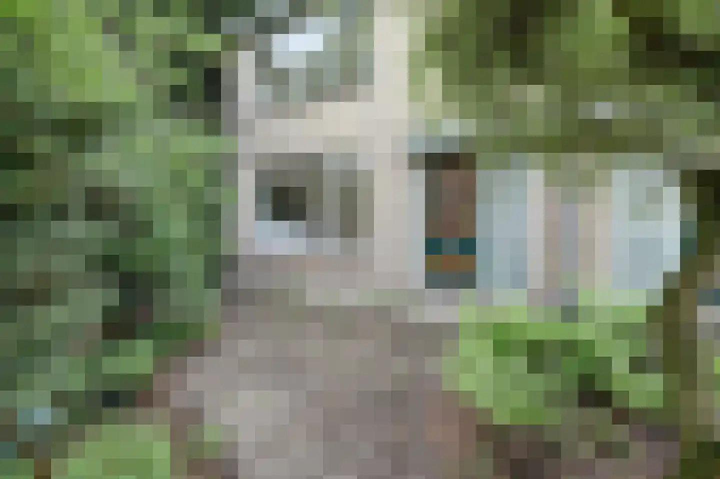 Planetenplein 1 Spijkenisse thumbnail 4